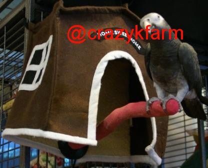 Avian Haven Hut for Pet Birds