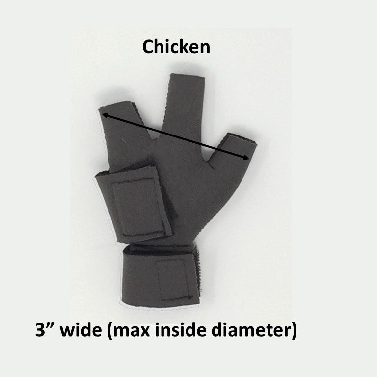 Birdy Bootie (chicken shoes, chicken booties, duck booties and goose shoes)