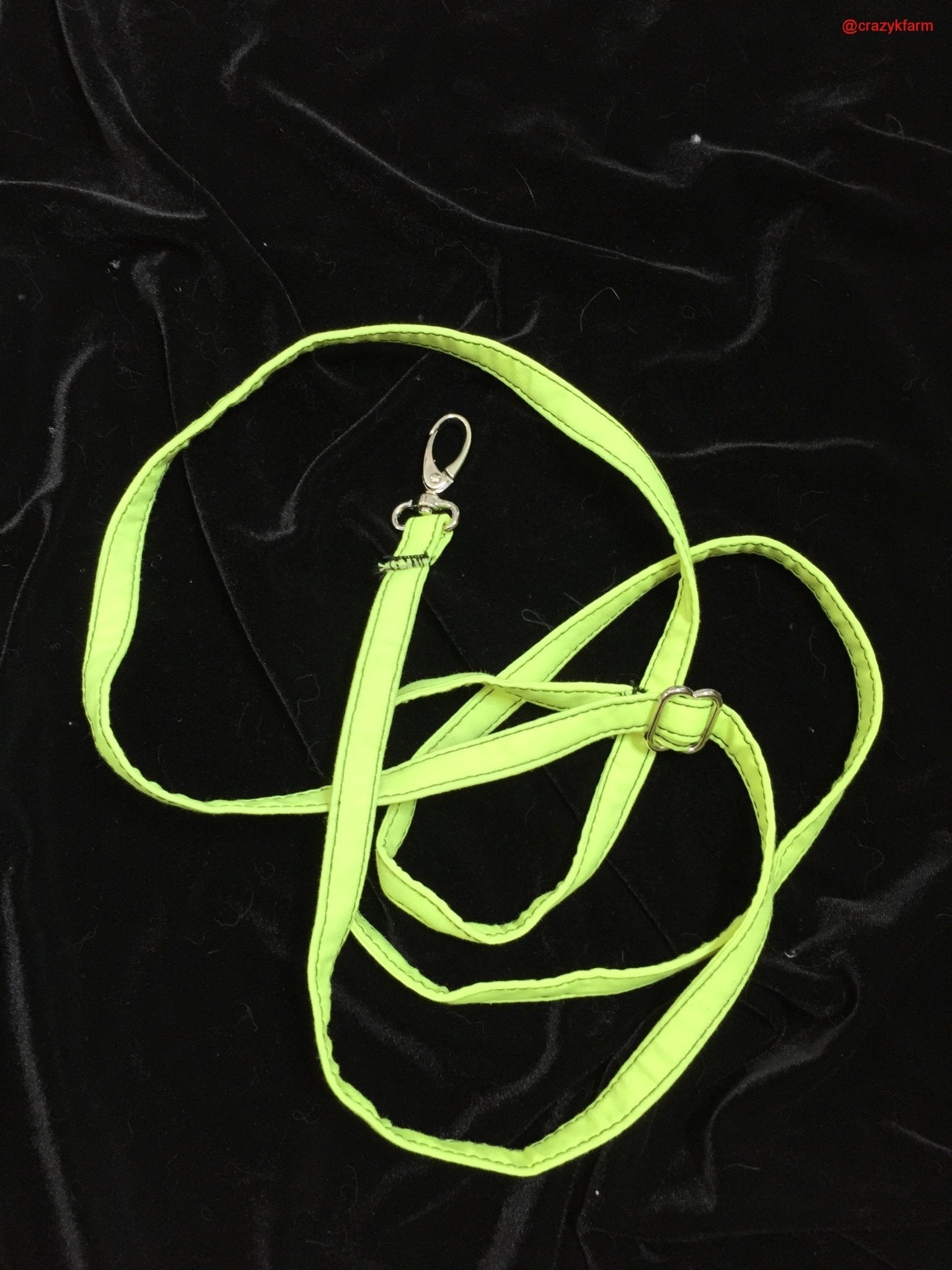 Clearance Holster Leash (Made in USA) Lemon Lime 12'