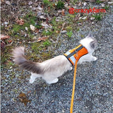 Clearance Holster Leash (Made in USA) Plain Old Orange 12'