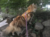 Custom Handmade Kitty Holster Cat Harness (Made in USA) Tiger Print