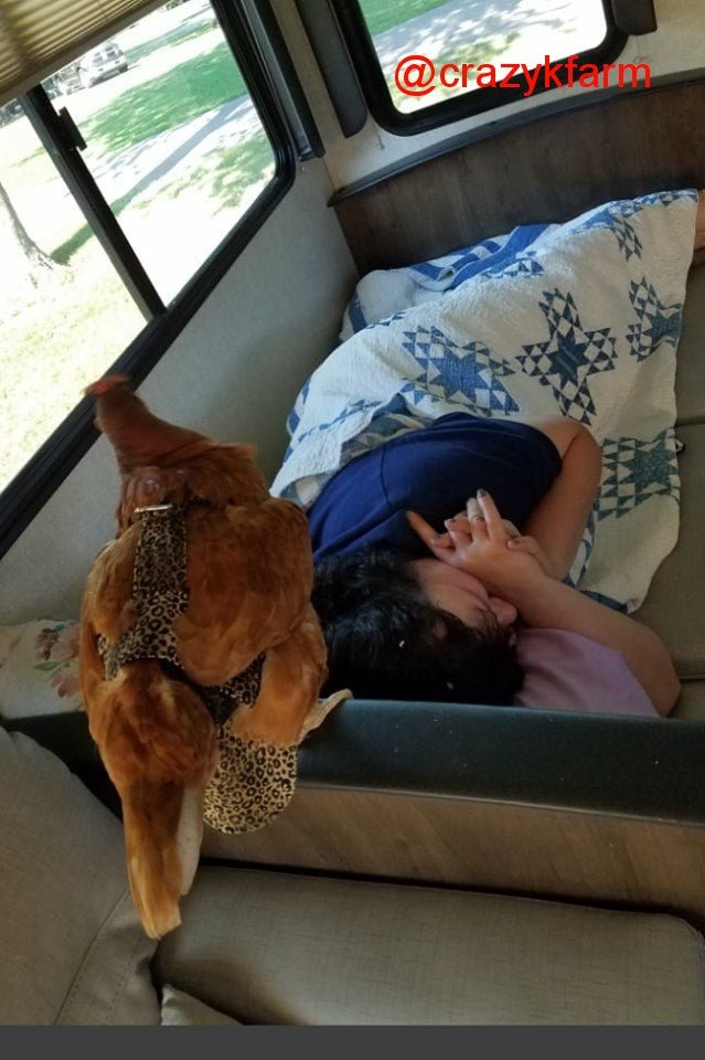 Hen Holster Chicken Diaper Harness with Permanent Sewn-in Liner (Duck Diaper, Goose Diaper, Parrot Diaper)