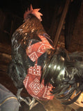 Hen Holster Bird Diaper/Harness (Hand-Made in USA) with Removable Vinyl Liner