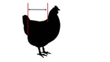 Hen Holster Bird Diaper/Harness (Hand-Made in USA) with Removable Vinyl Liner
