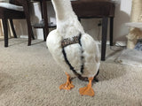 Hen Holster Waterfowl Diaper with Removable Liners