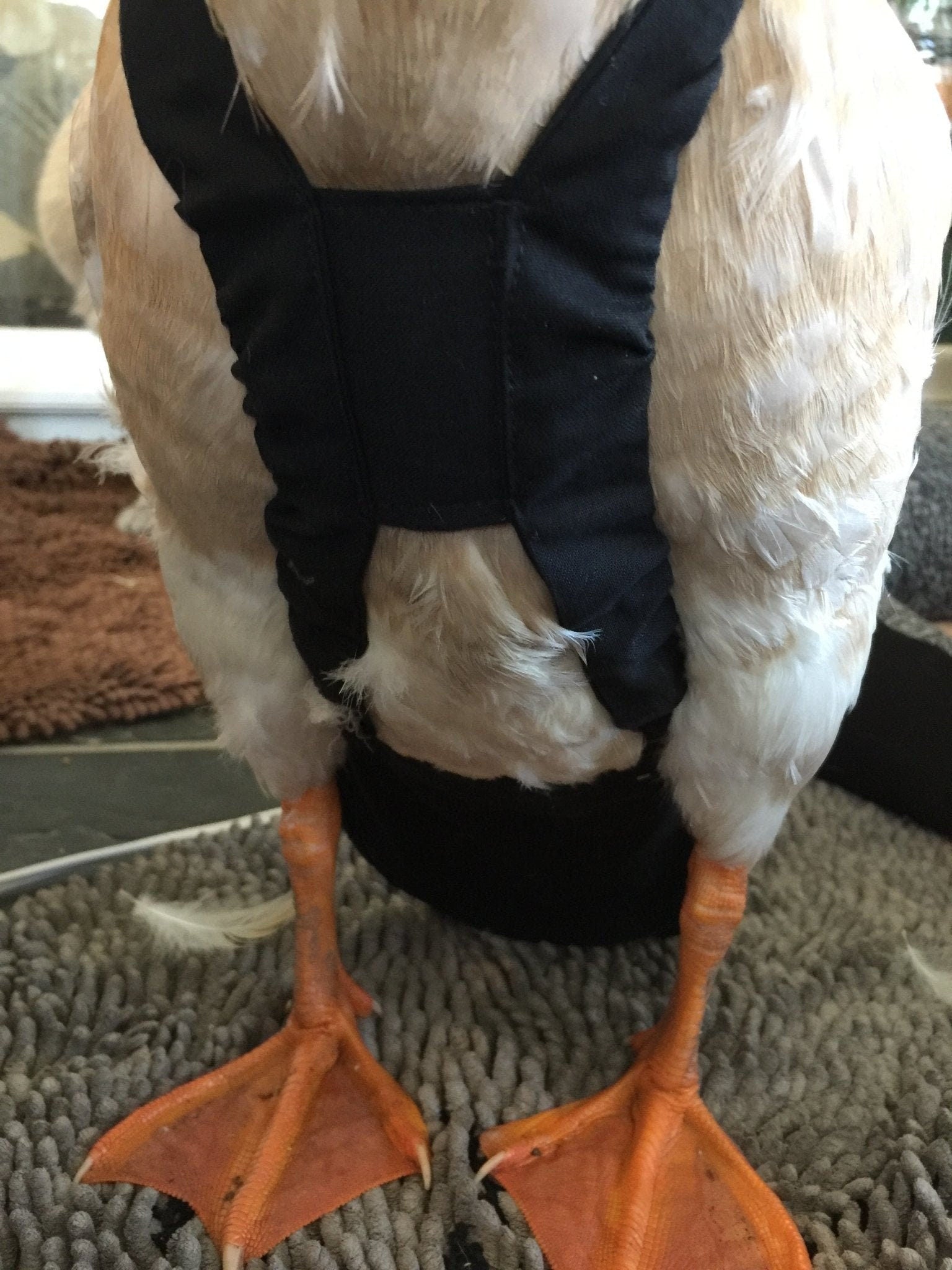 Hen Holster Duck Diaper Goose Diaper Removable Liners
