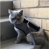 Kitty Holster Cat Harness (Made in USA) - cat harness