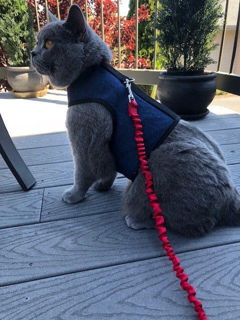 Kitty Holster Cat Harness (Made in USA)