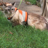 Kitty Holster Reflective Safety Harness (Made in USA) Outrageous Orange S M