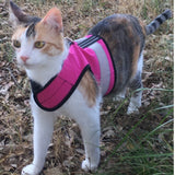 Kitty Holster Reflective Safety Harness (Made in USA) Flamingo Pink XS