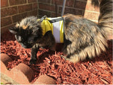 Kitty Holster Reflective Safety Harness (Made in USA) Sunshine Yellow XS