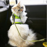 Kitty Holster Reflective Safety Harness (Made in USA)