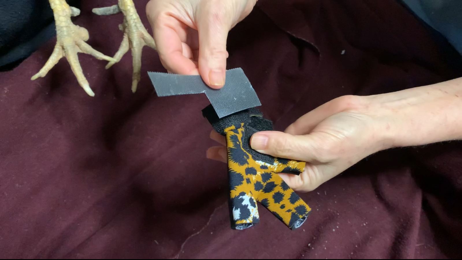 Replacement Leg Bands for Birdy Booties (Pair) One size