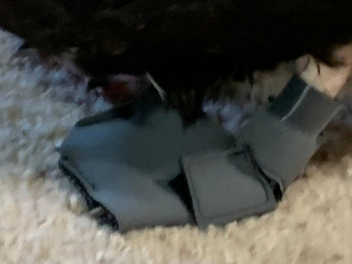 Replacement Leg Bands for Birdy Booties (Pair)