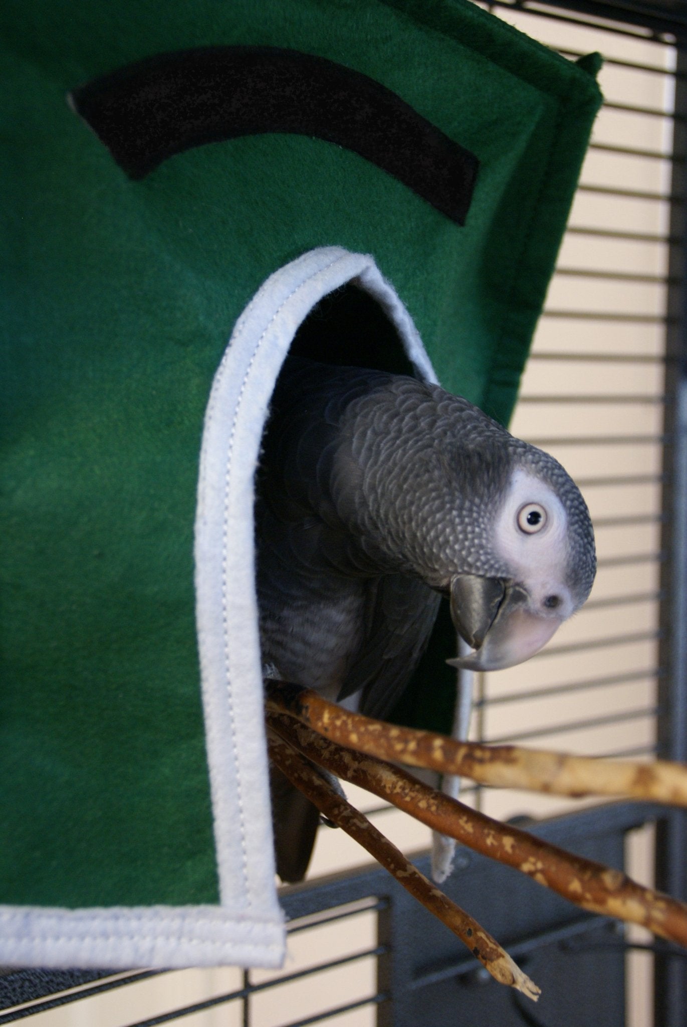 Avian Haven Hut for Pet Birds: The Ultimate Guide to Comfort & Security - Crazy K Farm Pet and Poultry