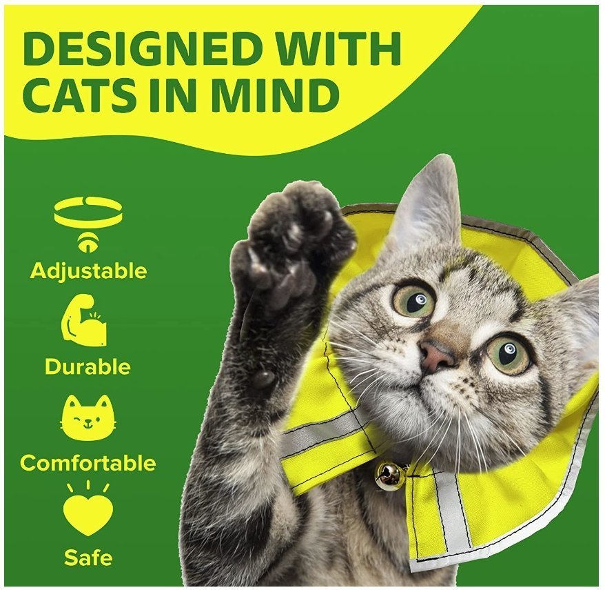 Stop Your Cat from Hunting Birds (Without Keeping Them Inside 24/7) - Crazy K Farm Pet and Poultry