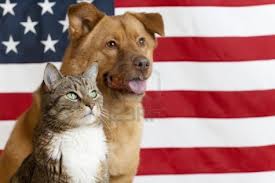 Why Choose USA-Made & Handmade Pet Products for Your Furry (or Feathered!) Family