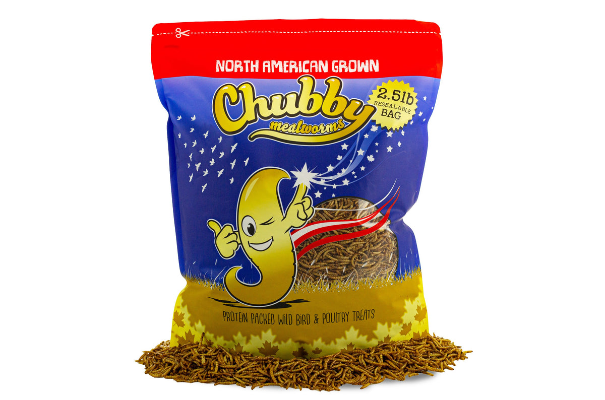 2.5Lbs Chubby North American Dried Mealworms Non-GMO