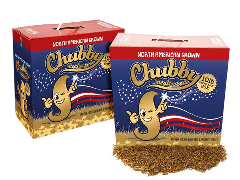 20Lbs Chubby North American Grown Dried Mealworms Recyclable Boxes Non - GMO - North American Grown