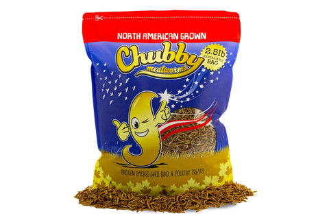 2.5Lbs Chubby North American Grown Dried Mealworms Non - GMO - North American Grown
