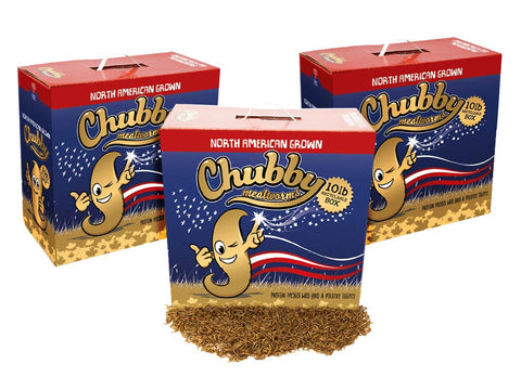 30Lbs Chubby North American Dried Mealworms Recyclable Boxes Non-GMO