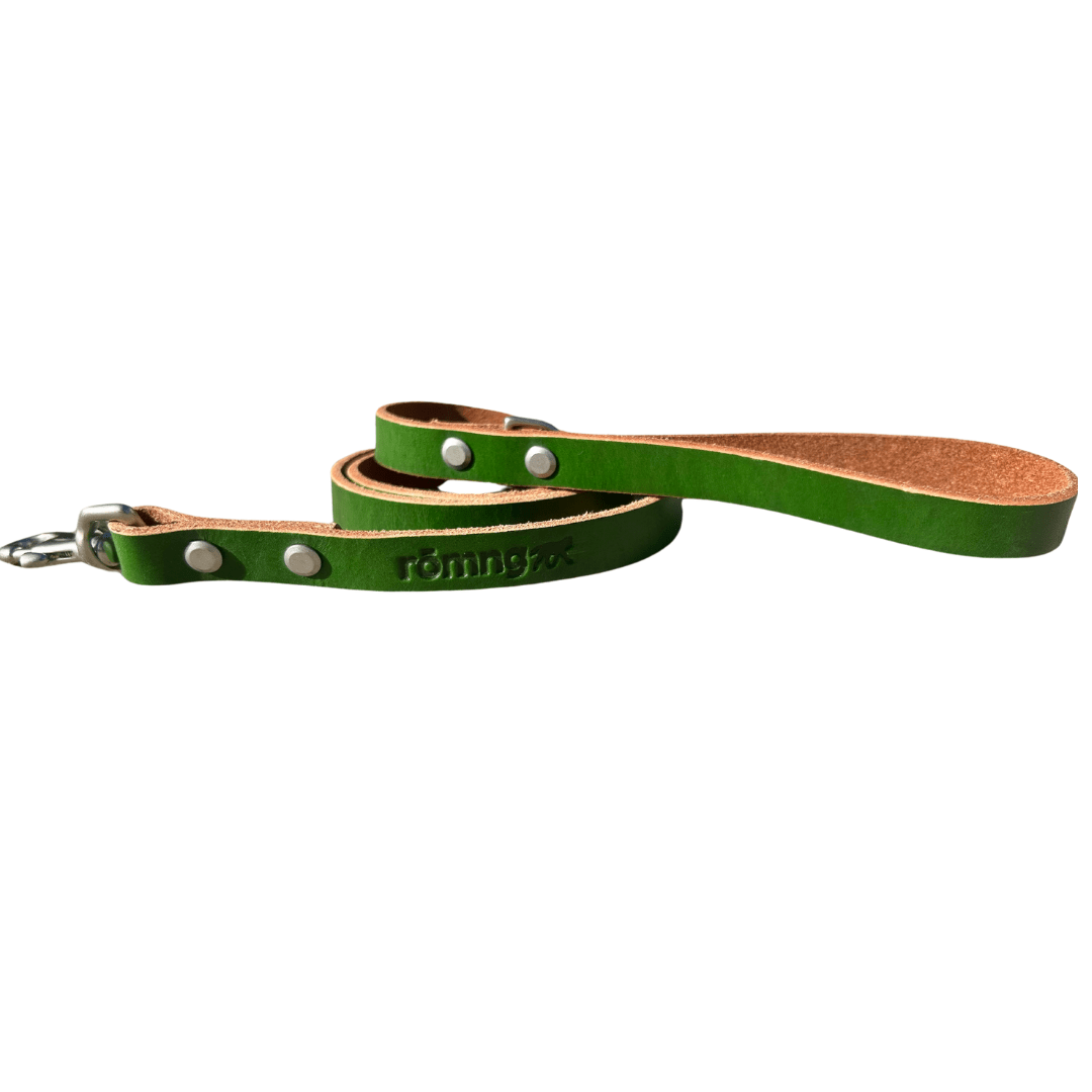 48" Genuine Leather Dog Leashes - Made in USA Green