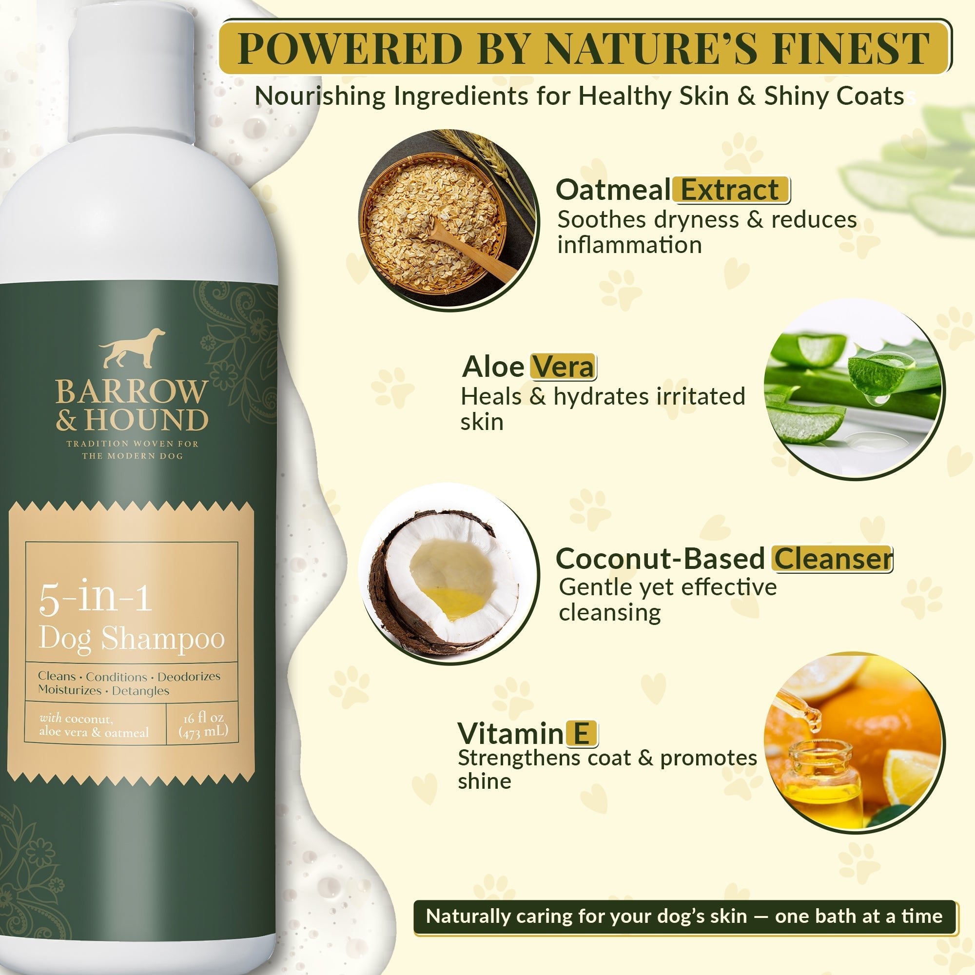 Barrow & Hound 5-in-1 Dog Shampoo – Coconut, Oatmeal, Aloe | Itch Relief + Conditioner for All Breeds