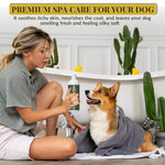 Dog Spa Day: Corgi enjoying Barrow & Hound Shampoo by Crazy K Farm. Itch relief and silky coat!