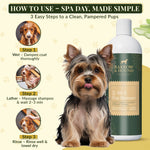 Barrow & Hound 5-in-1 Dog Shampoo: Spa Day at Home! Cleans, Conditions, Deodorizes, Moisturizes, & Detangles for Pampered Pups.