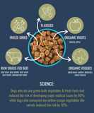 PREMIUM RAW FREEZE DRIED DOG FOOD