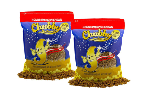 Chubby Mealworms, Dried, 2.5lb Bags - North American Grown Protein Packed Wild Bird & Poultry Treats