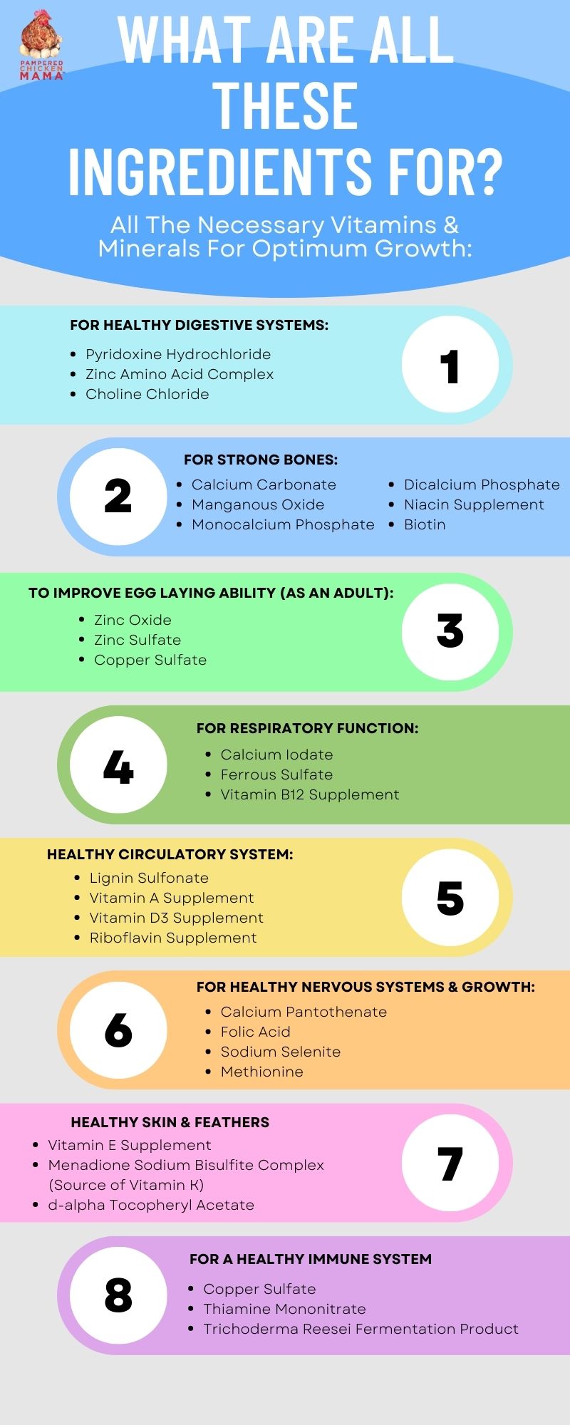 Herbal Chick Starter & Grower Feed With Oregano & Garlic For Baby Chicks