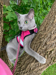 Cat in a pink Kitty Holster Reflective Safety Harness climbing a tree. USA Made, safety harness.