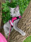 Cat in a pink Kitty Holster Reflective Safety Harness climbing a tree. USA Made, safety harness.