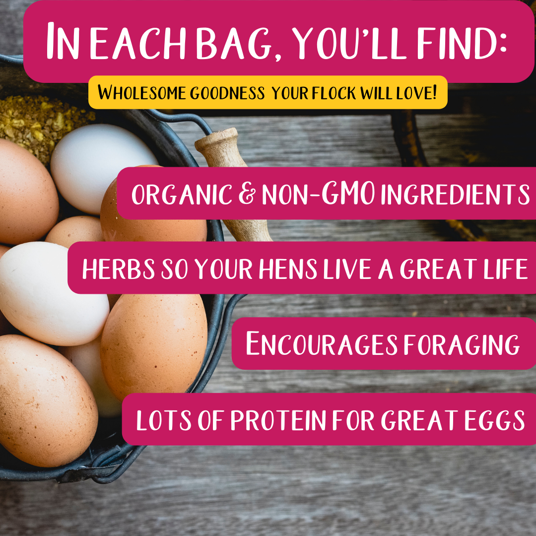 Chicken feed benefits: Organic, non-GMO, foraging, protein, herbs for hen health. Premium cracked corn for happy, healthy chickens!