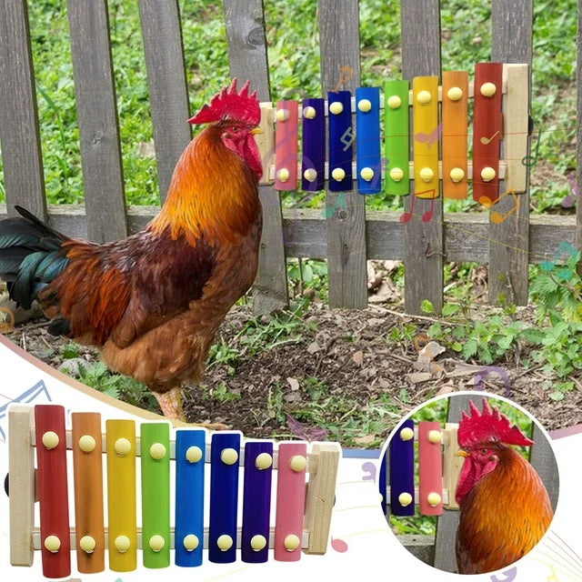 Chicken playing colorful xylophone toy in coop. Enrichment toy by Crazy K Farm Pet & Poultry.  Bird musical instrument. Fun & engaging.