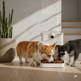 All - in - One Smart Pet Feeder - 