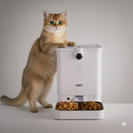 All - in - One Smart Pet Feeder - 
