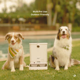 All - in - One Smart Pet Feeder - 