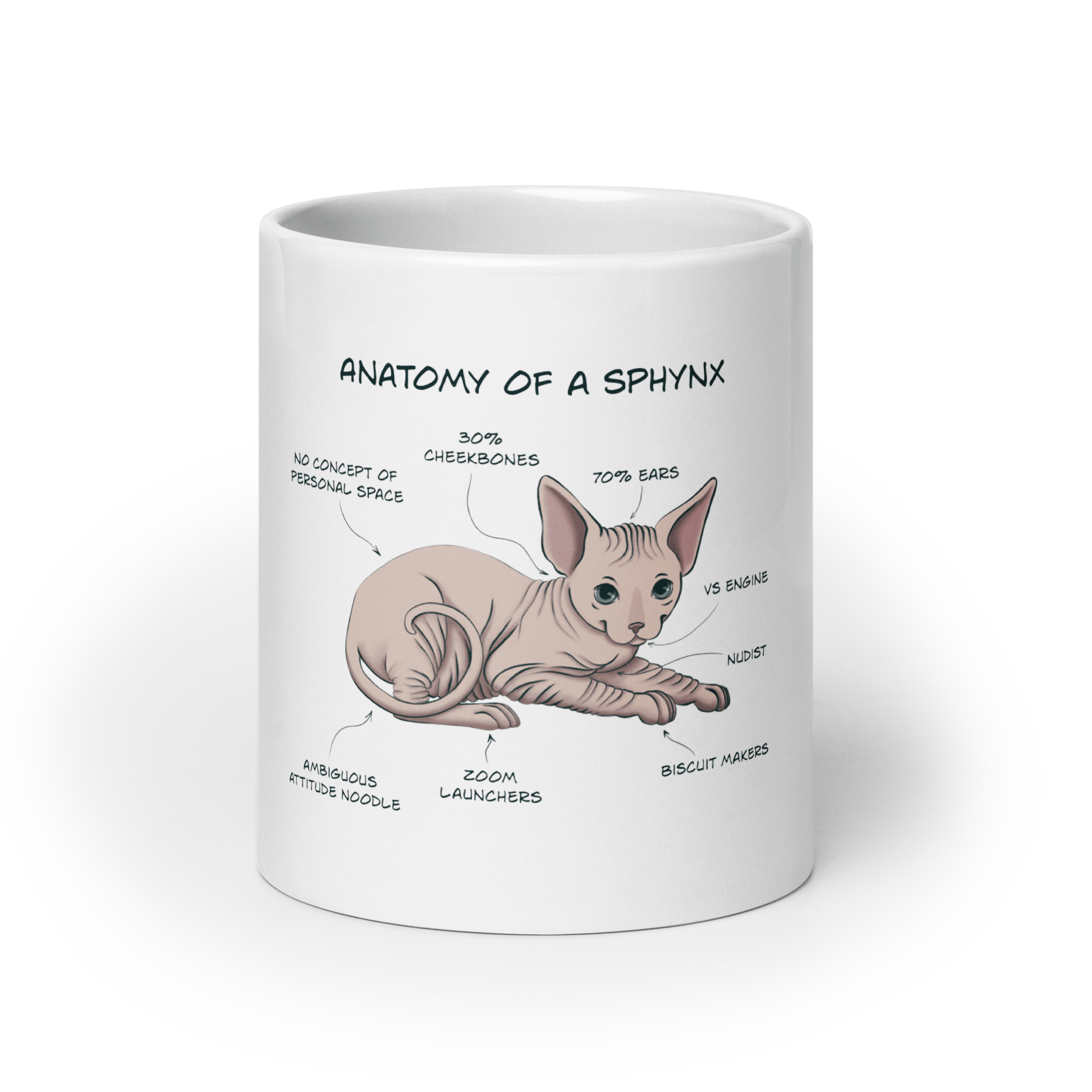 "ANATOMY OF A SPHYNX CAT" COFFEE MUG