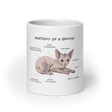 "ANATOMY OF A SPHYNX CAT" COFFEE MUG - merch