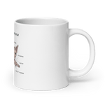 "ANATOMY OF A SPHYNX CAT" COFFEE MUG - merch