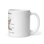 "ANATOMY OF A SPHYNX CAT" COFFEE MUG - merch