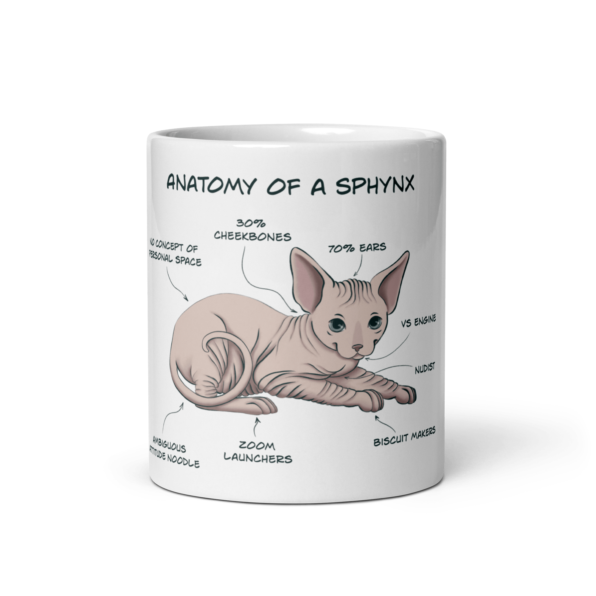 "ANATOMY OF A SPHYNX CAT" COFFEE MUG