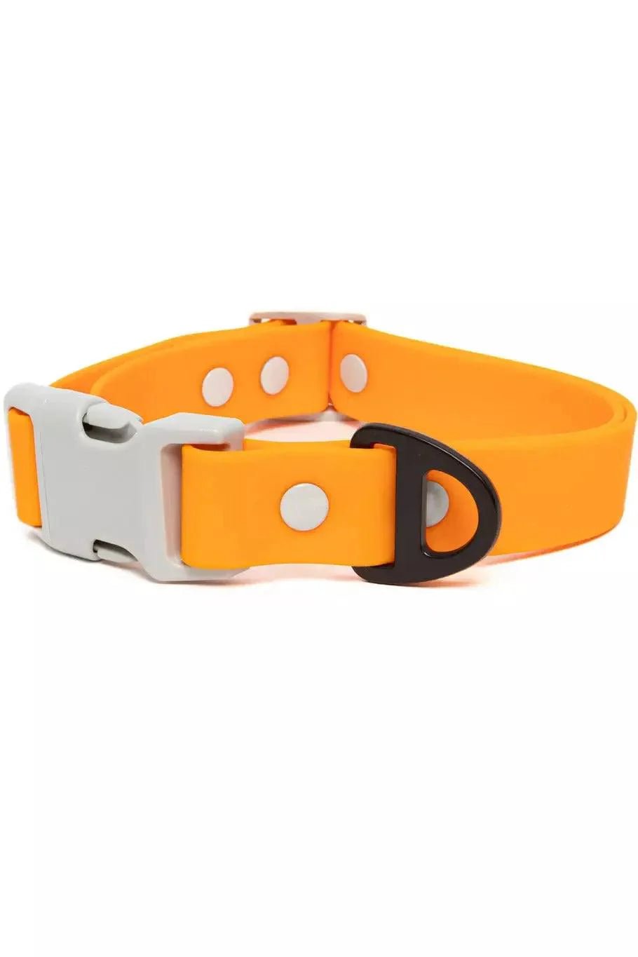 Aria the Fox Crimson Glow Waterproof Dog Collar Bright Orange Gray