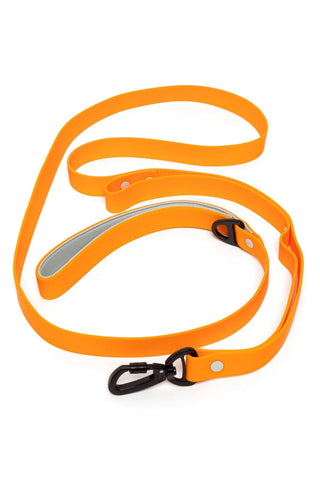 Aria the Fox Crimson Glow Orange Waterproof Dog Leash - Heavy Duty, Padded Handle, Carabiner Clip