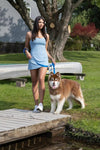 Waterproof dog collar, woman with brown Alaskan Malamute dog on a dock near water. 