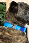 Waterproof Blue Dog Collar by Crazy K Farm: Durable, Odor-Proof, Stylish Dog Collar for Adventurous Pups