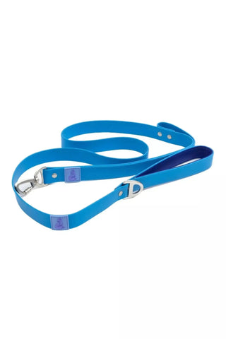 Blue Waterproof Dog Leash - Aria the Fox Dockside Adventures 6ft. Durable, Odor-Proof Leash for Dog Walking and Outdoor Activities.