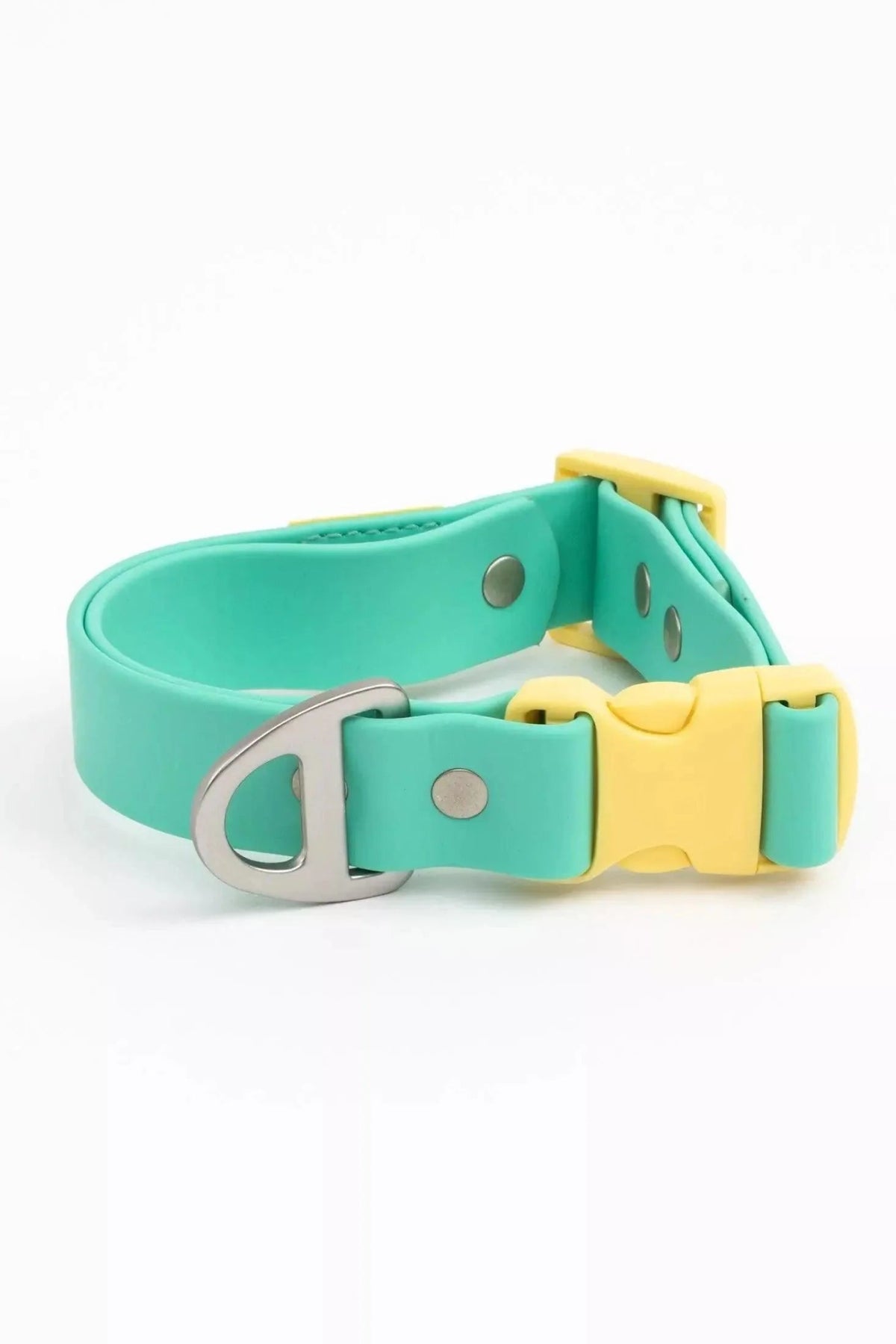 Aria the Fox Island Vibes Waterproof Dog Collar Aqua Sunshine Yellow